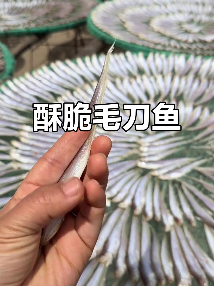 毛刀鱼炸得香脆,内脏已去不苦,完美口感让人停不下来