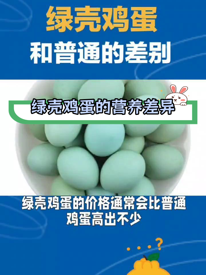 绿壳鸡蛋与普通鸡蛋的区别揭秘