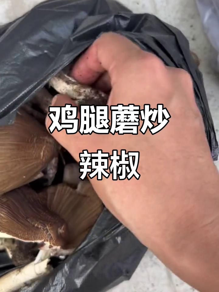 捡蘑菇大丰收,鸡腿蘑炒辣椒超下饭