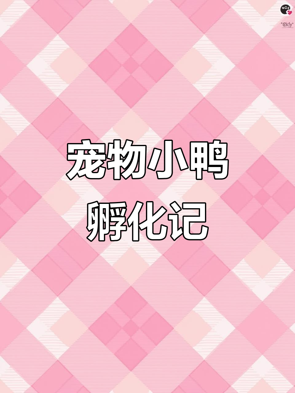 小鸭子破壳全过程，萌态百出超可爱