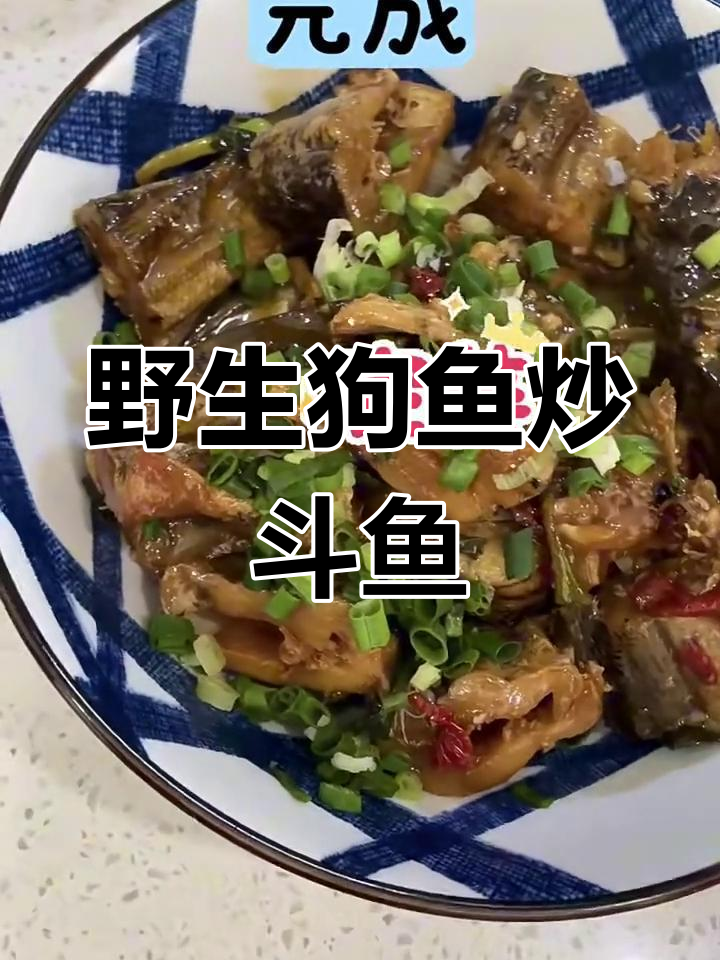 阿勒泰野生狗鱼炒斗鱼的独特做法,辣皮和香料让味道更诱人