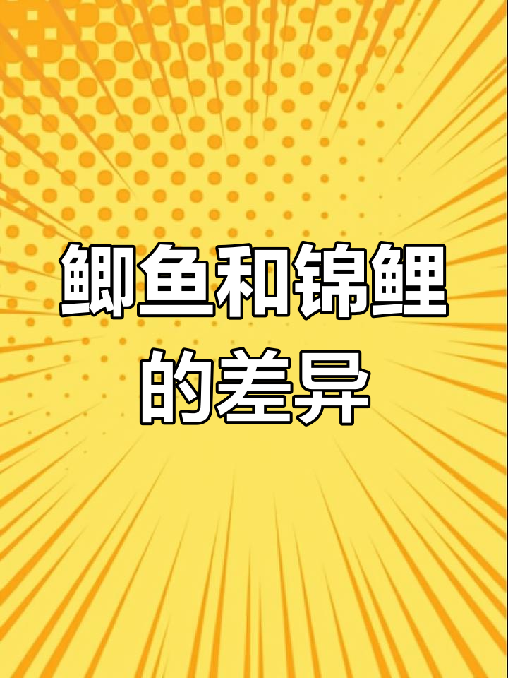 鲫鱼与锦鲤的区别揭秘