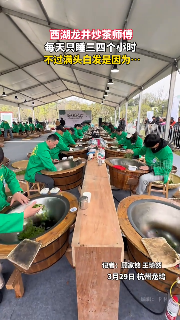 炒茶师傅手工炒茶,每天只睡三四个小时,不过比炒茶更辛苦的是
