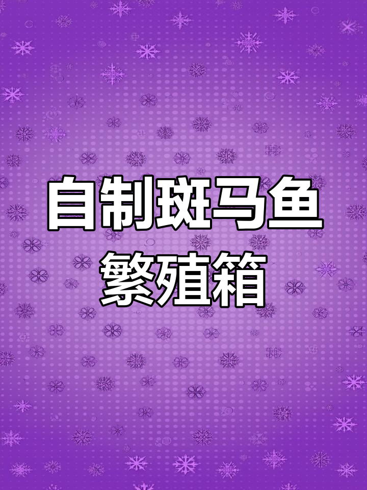 斑马鱼繁殖技巧大揭秘,轻松制作繁殖盒