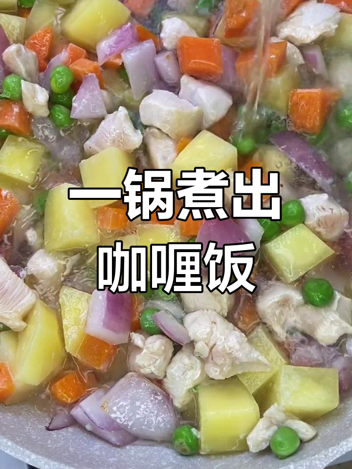轻松做出美味咖喱鸡肉饭