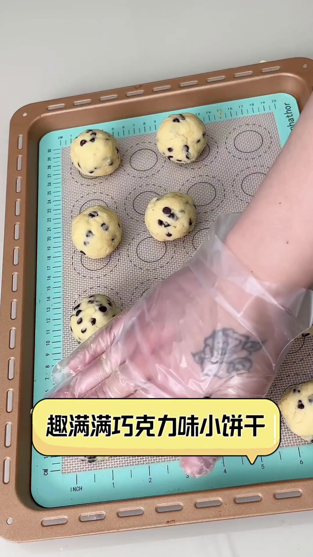 趣满满巧克力味小饼干
