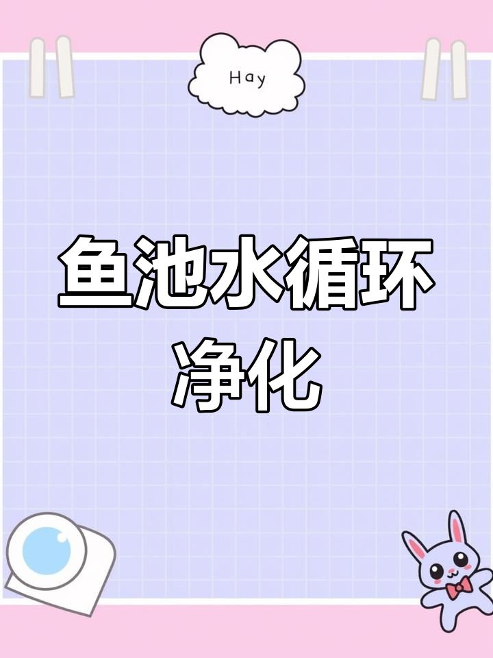 景观鱼池水处理全流程揭秘，如何让水质清澈透明