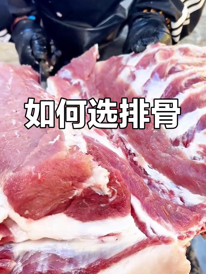 挑选排骨的最佳部位,前后排对比分析