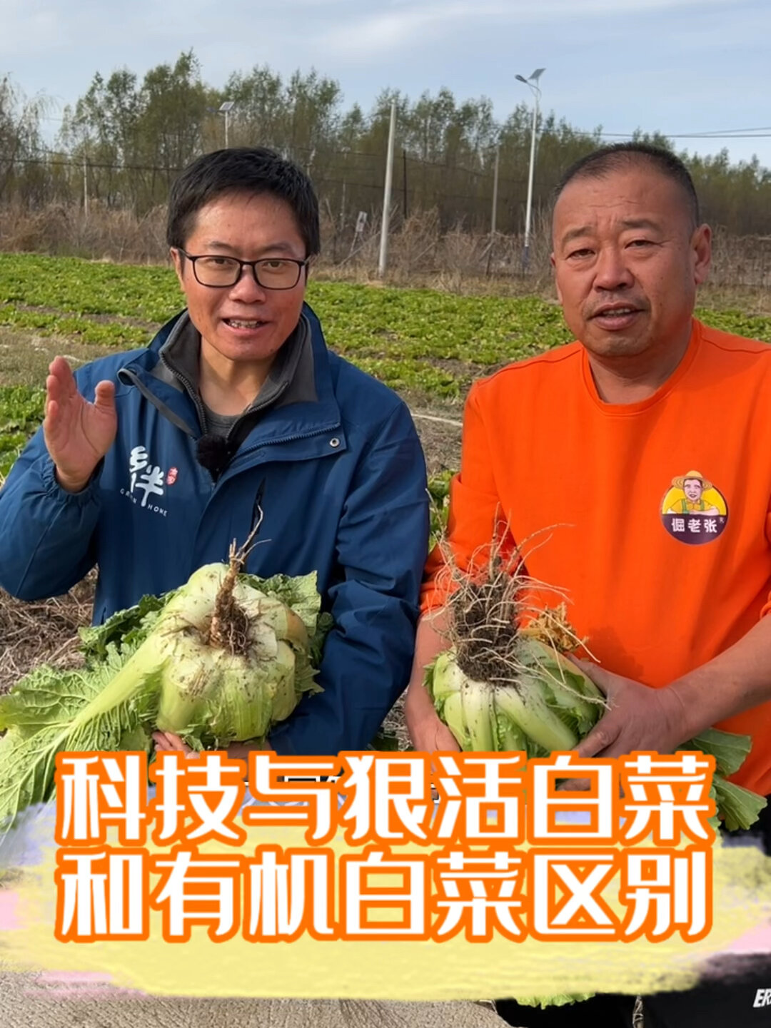 你爱吃的大白菜选对了吗?
