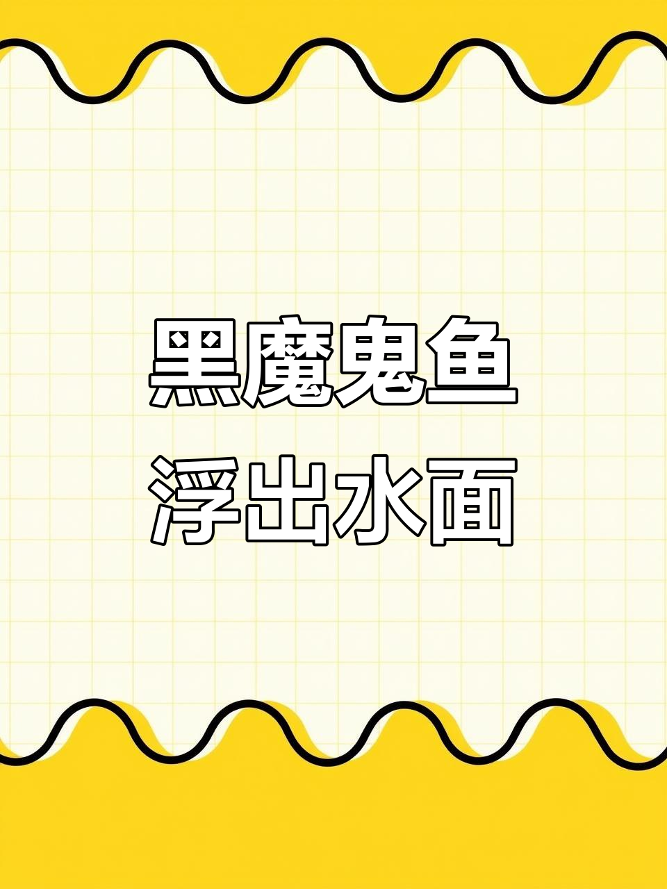 罕见黑魔鬼鱼现身浅海,深海恶魔首次曝光