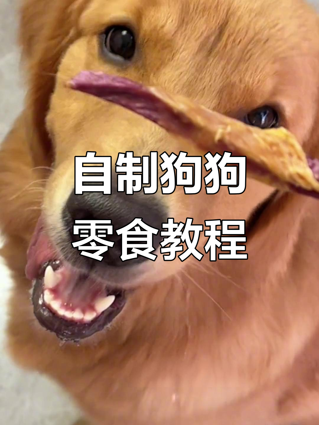 亲手做狗零食，紫薯鸡胸肉烘干大作战