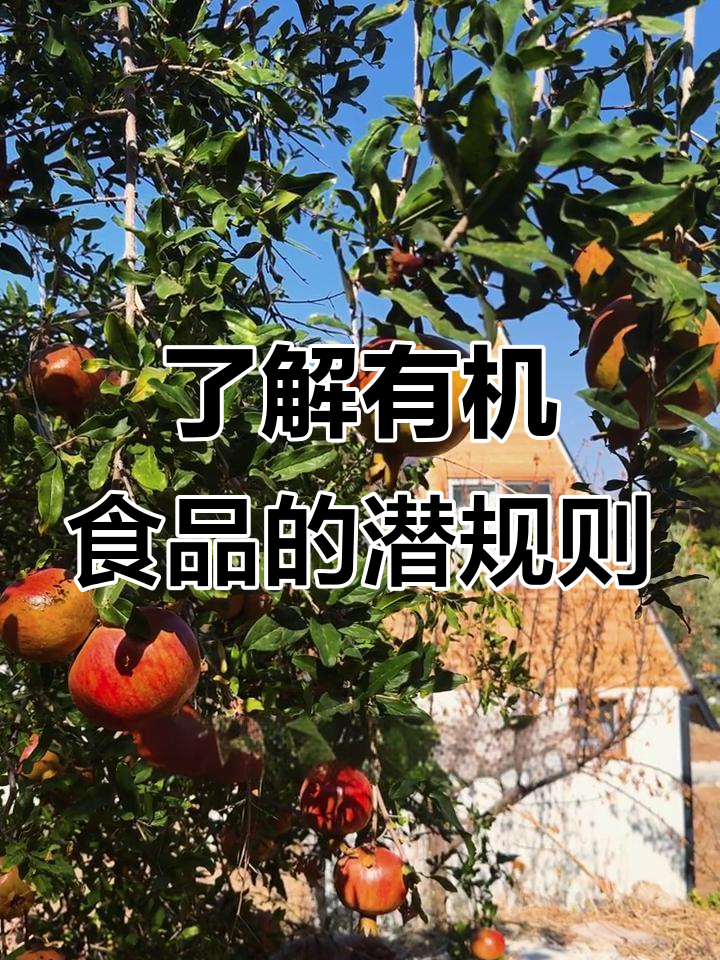 有机蔬菜购买秘籍:脏12、净15到底是什么意思?