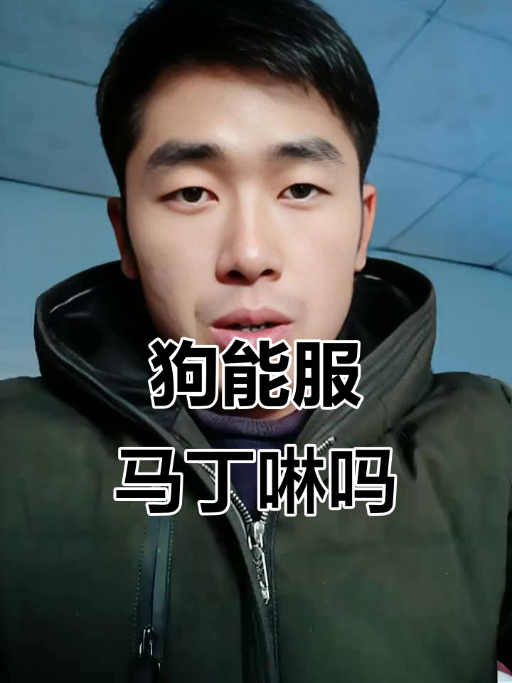 狗狗能吃马丁啉吗?了解原因和替代药物