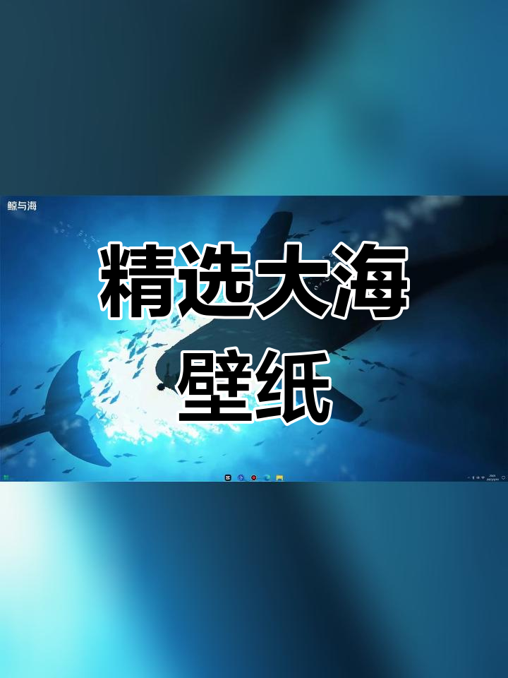 高清大海动态壁纸推荐,全屏体验更佳