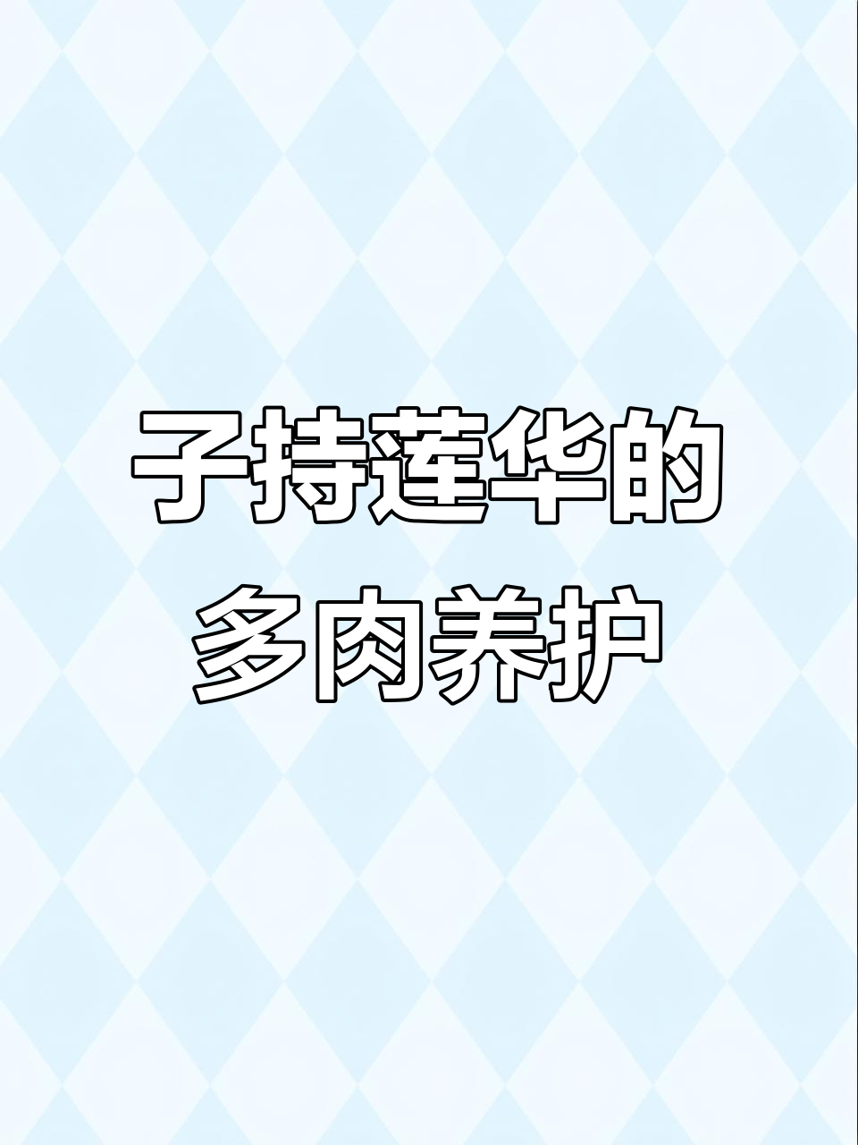 多肉植物子持莲华的成长与寓意，夏季疯狂生长让人惊喜