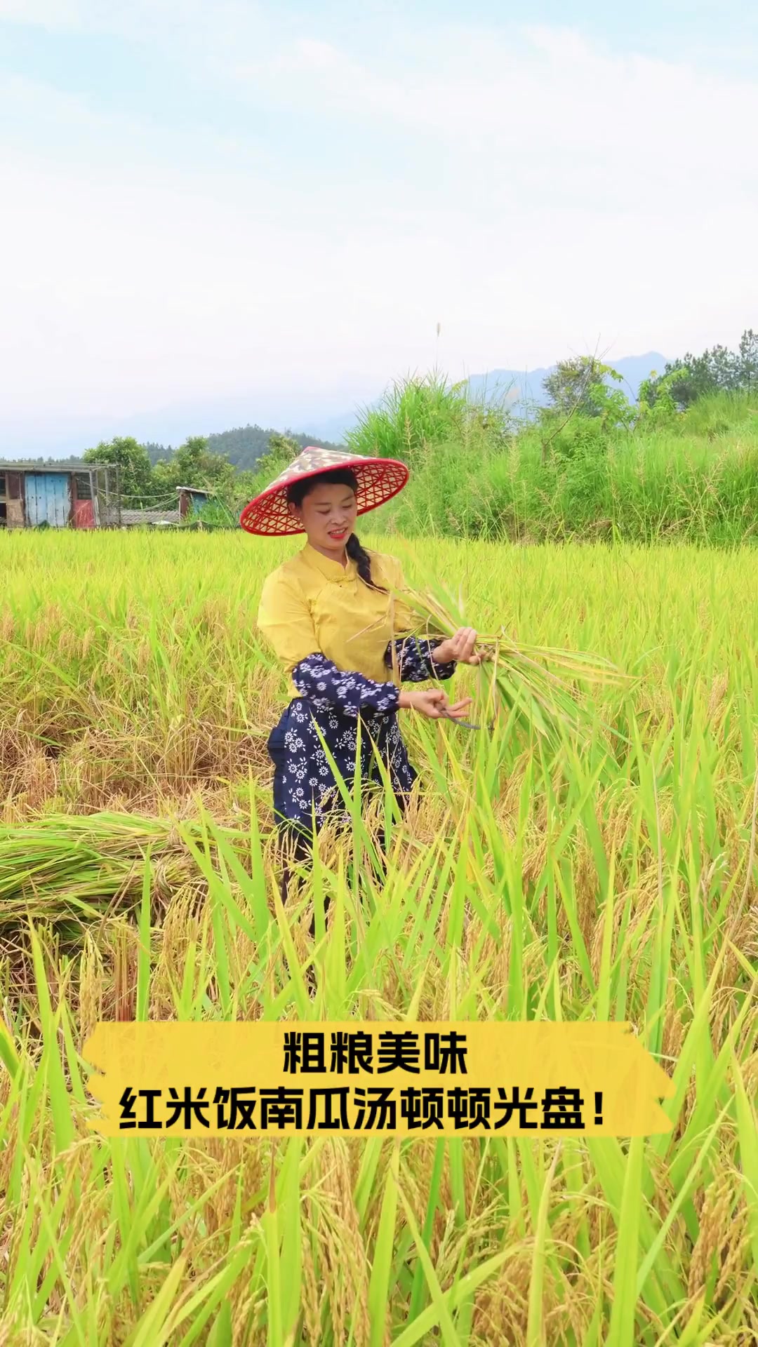 粗粮美味,红米饭南瓜汤顿顿光盘!