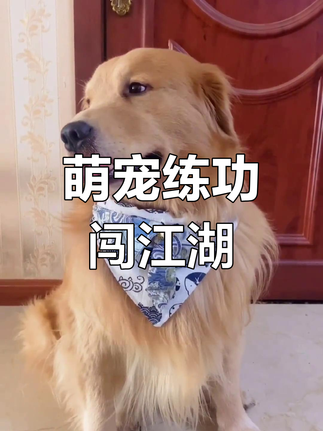 金毛学打狗棒法,丐帮内部大乱斗