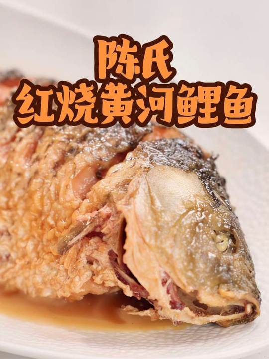 河南头牌菜，得劲又利口的陈氏红烧黄河鲤鱼