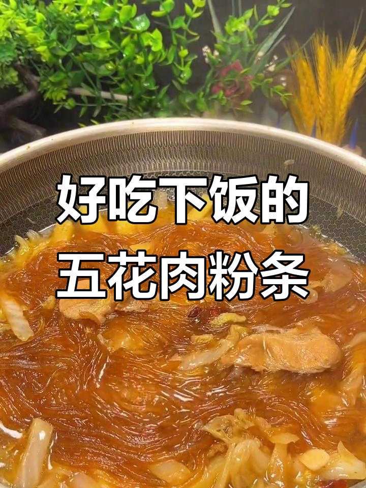 五花肉白菜粉条,炖出劲道美味!