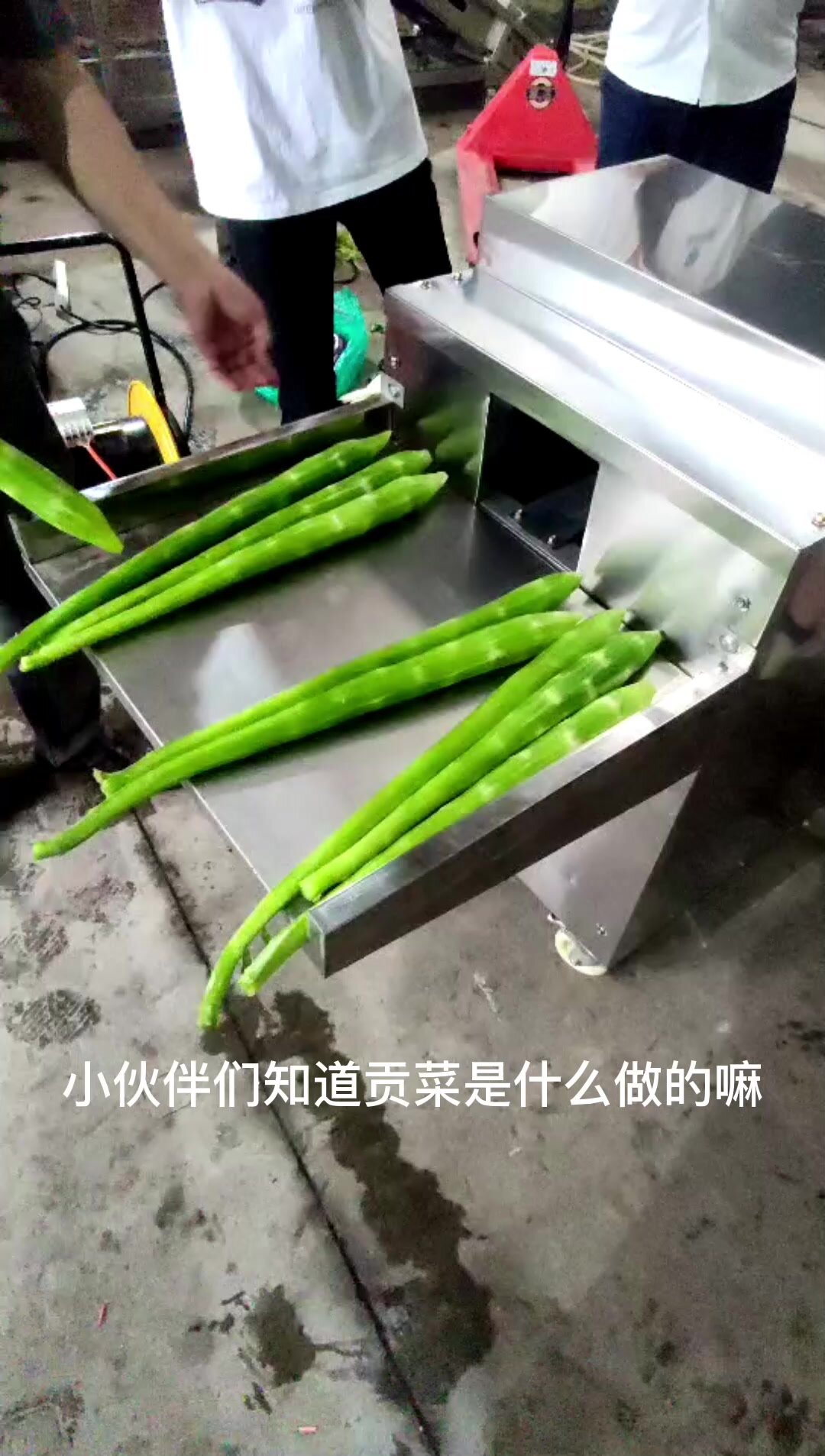 哇~才知道原来贡菜是莴笋做的