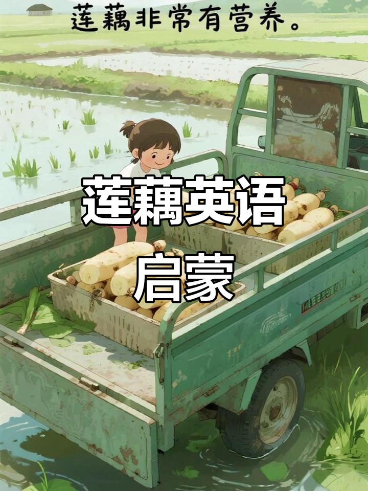 英语启蒙绘本:莲藕的秘密与营养