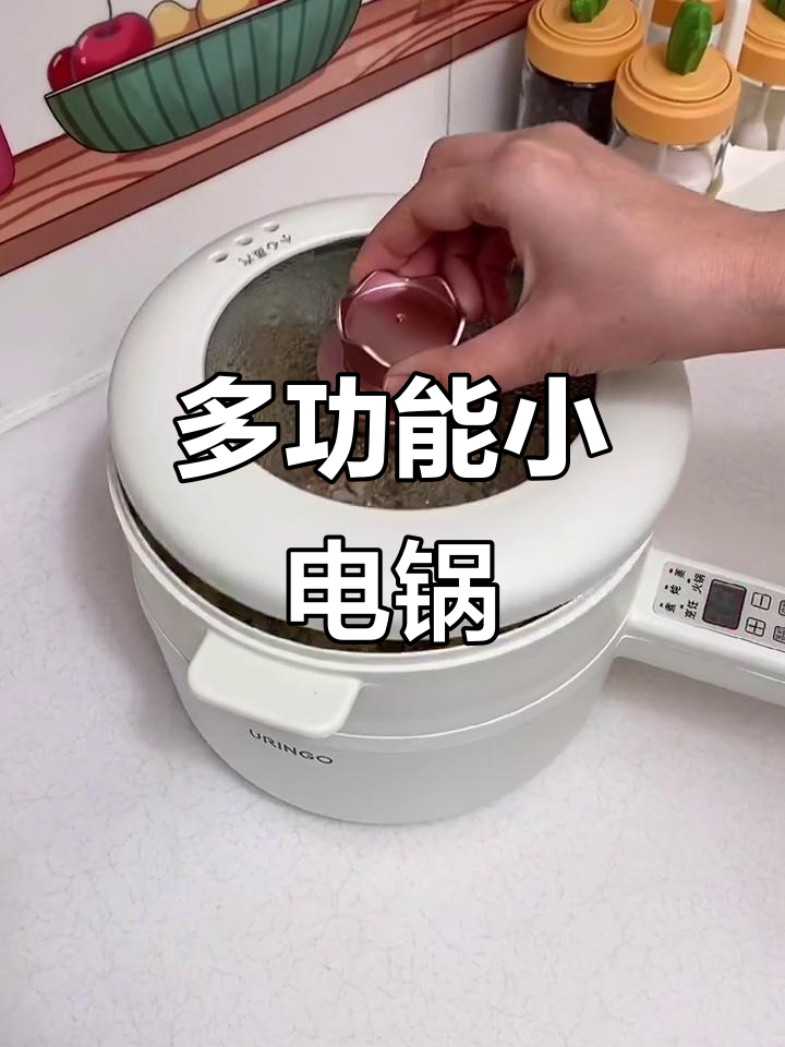 一锅搞定煎炒炖煮蒸，多功能小电锅让你厨房更高效