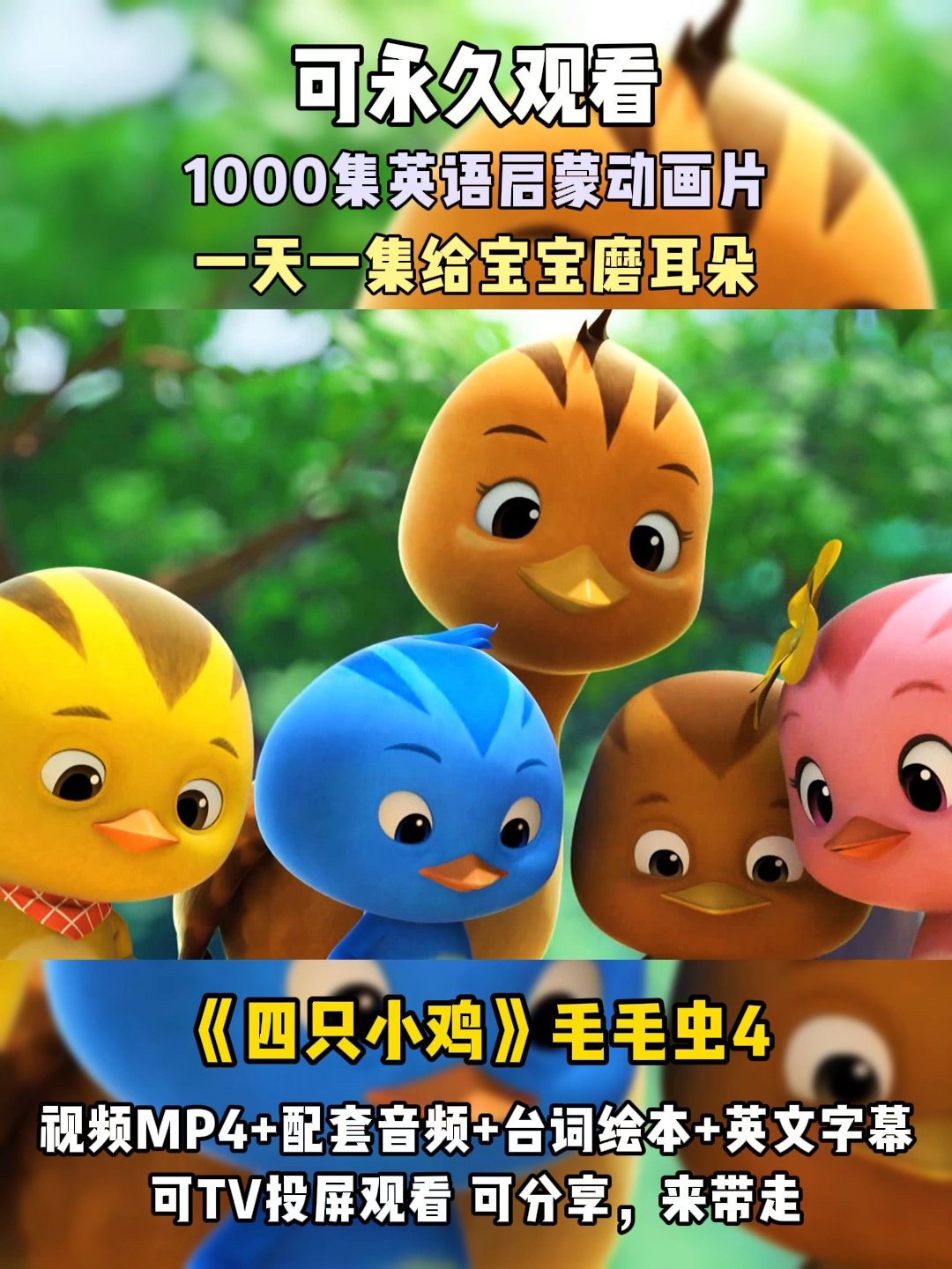 英语启蒙动画片/四只小鸡毛毛虫
