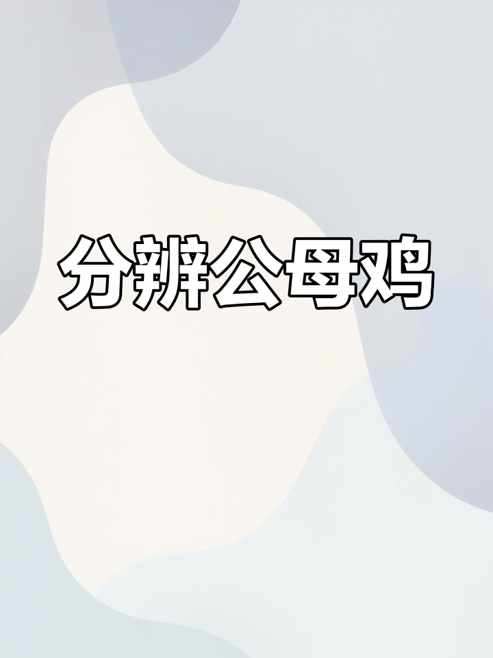 公鸡母鸡叫声大不同