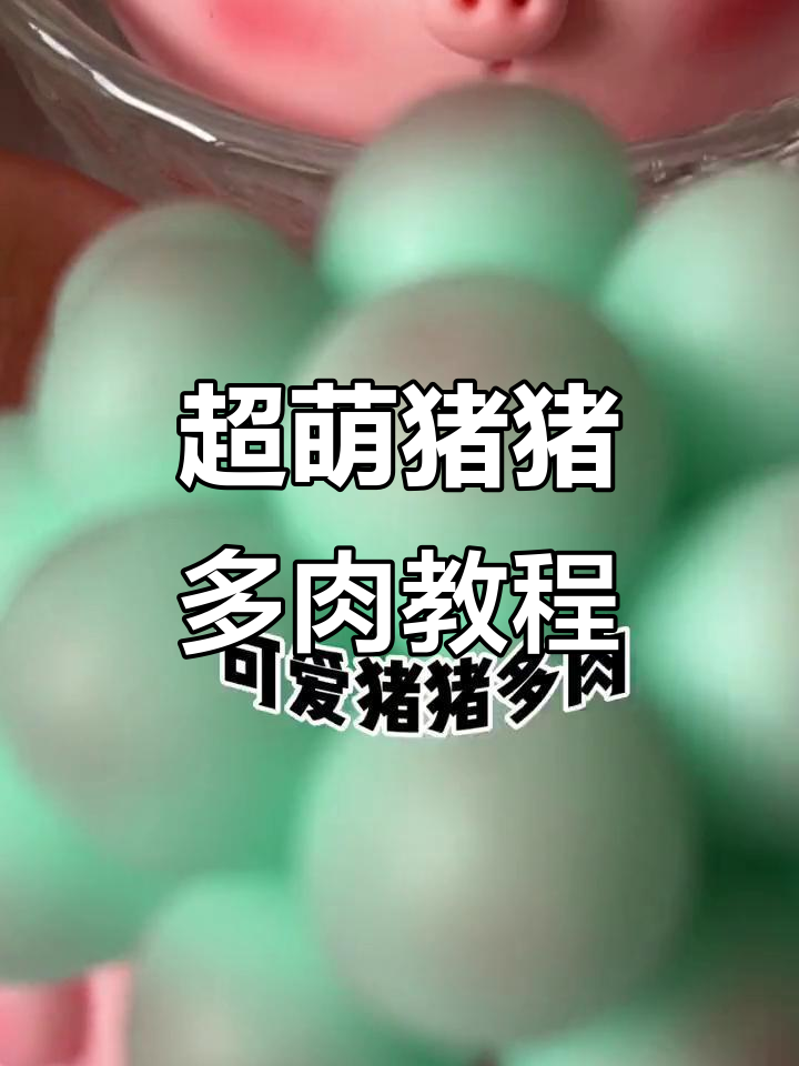 轻松做出可爱猪猪多肉小盆栽，步骤超简单