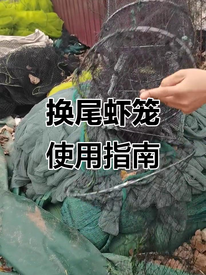 虾笼换尾技巧大揭秘,大小虾都能捕!
