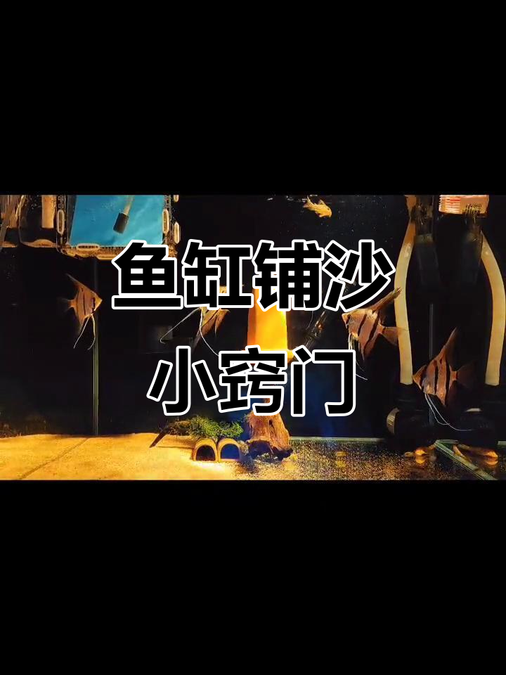 鱼缸铺底砂技巧,轻松搞定不混水