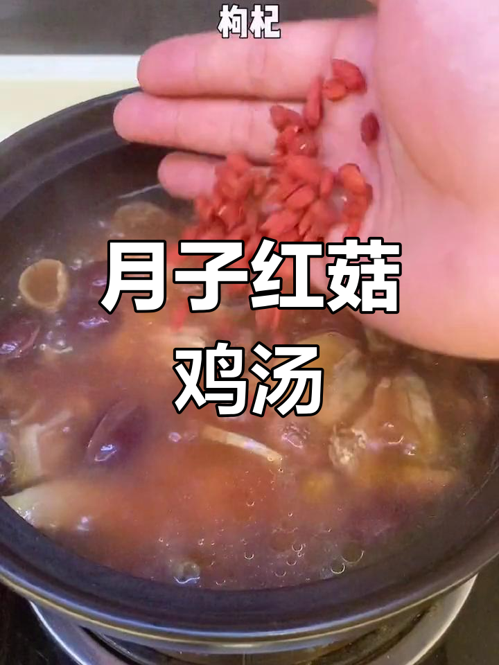 红菇鸡汤,月子必试!滋补又美味