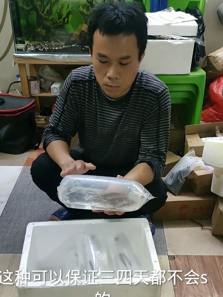 快递打包活鱼你学会了吗