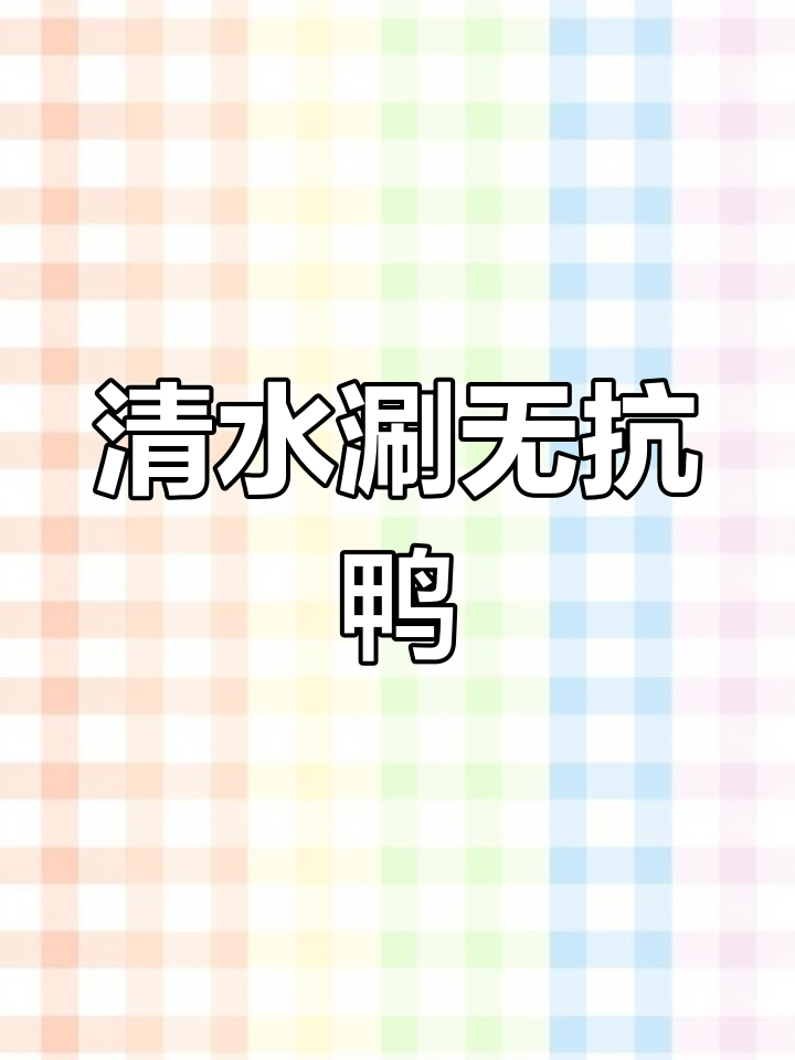 无抗鸭肉新做法,清水涮白鸭,鲜美又健康