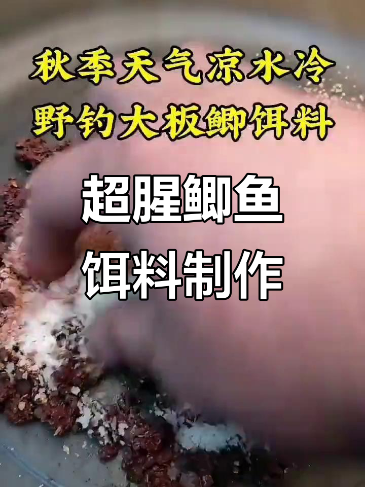 寒冷天气必备!超腥鲫鱼饵料制作秘籍,钓鱼效果惊人