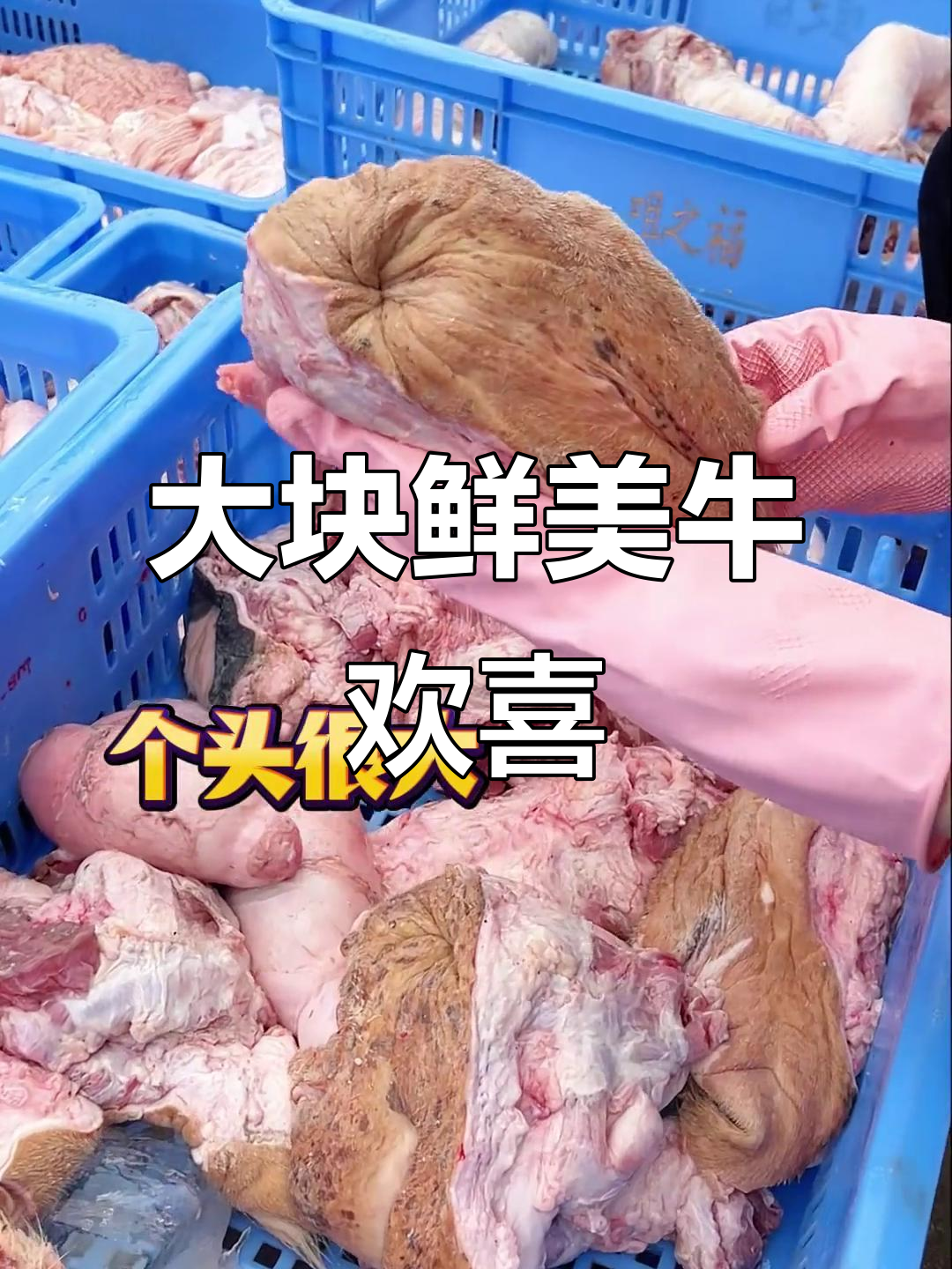 牛欢喜大块新鲜,火锅必备引流菜品