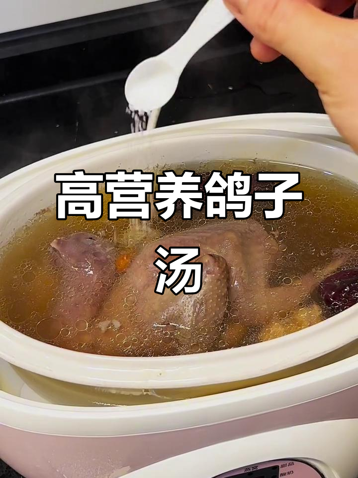 田七高炖鸽子汤,滋补美味不容错过