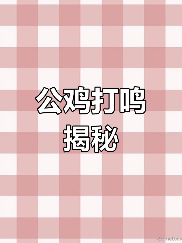 你知道公鸡为什么叫吗?一起探索背后的奥秘吧!