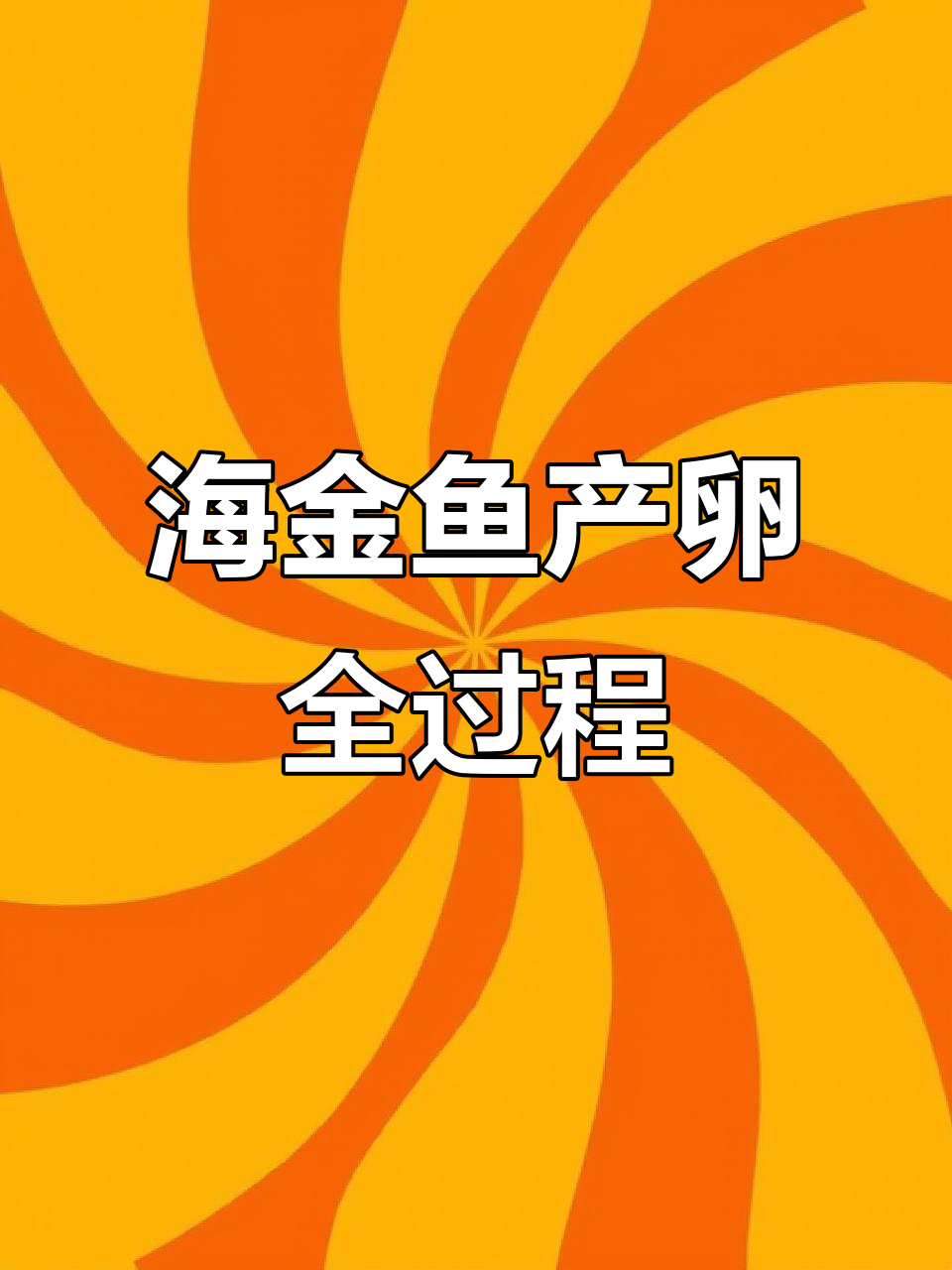 蓝眼海金鱼在鱼缸产卵,珊瑚缸里的奇妙时刻