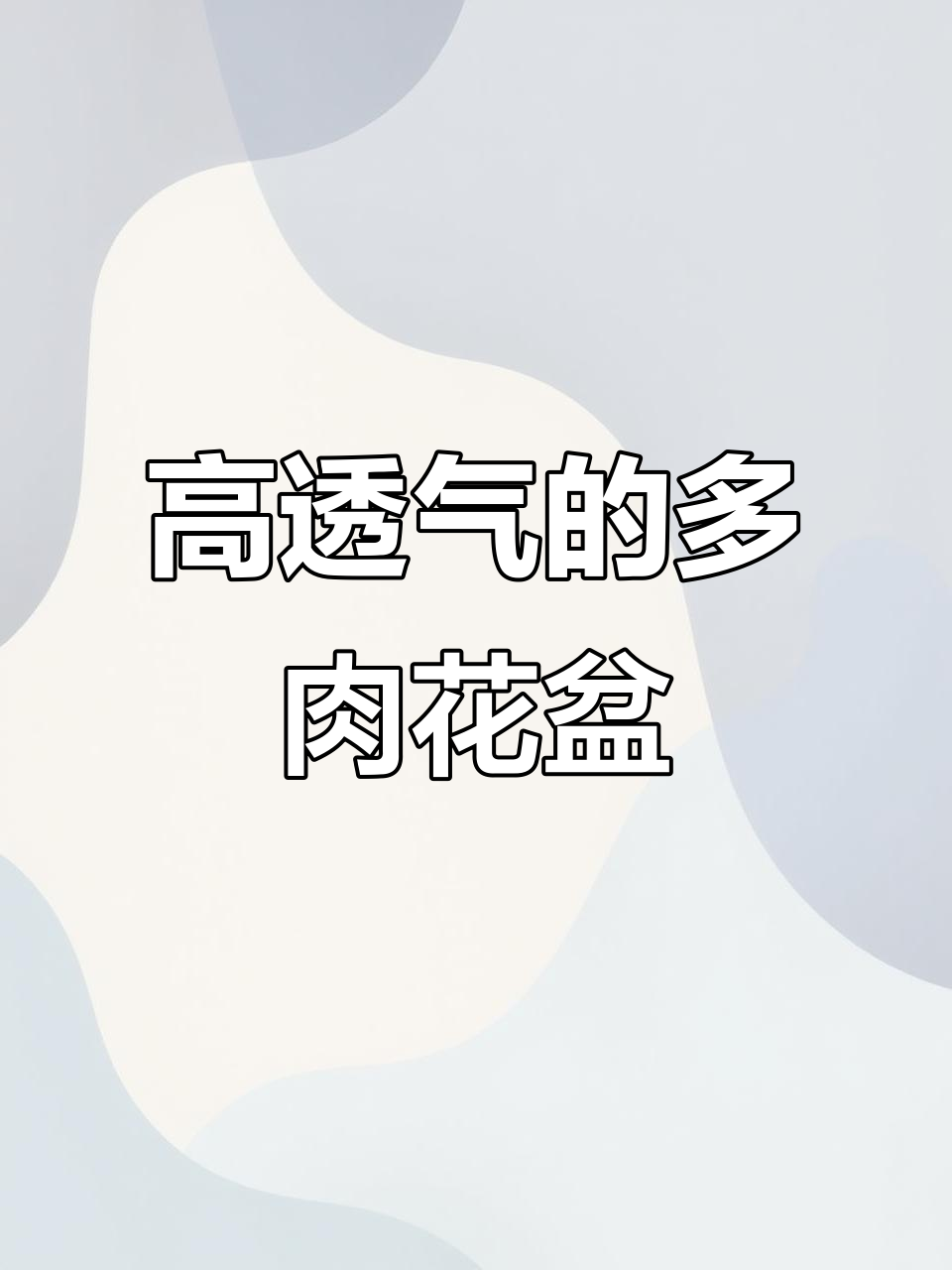 透气性超强的空气盆，让多肉更健康