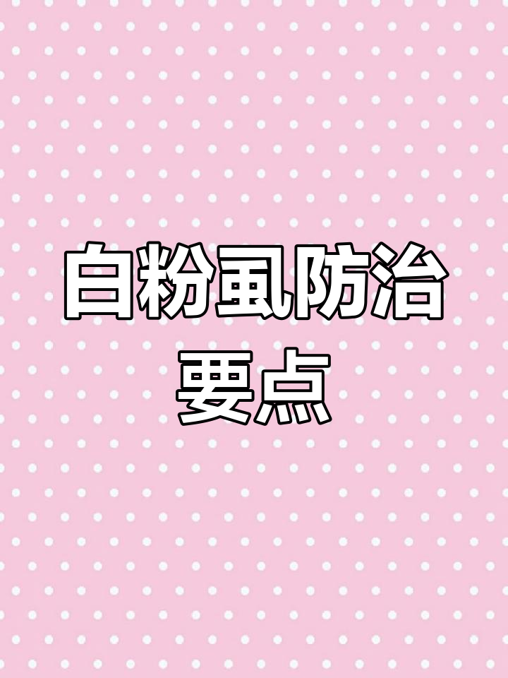 柑橘白粉虱与煤烟病防控方案