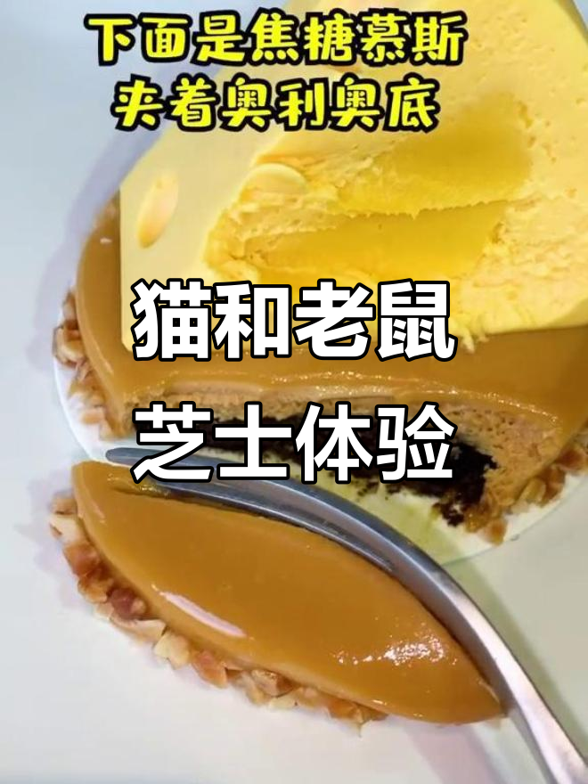 终于打卡猫和老鼠同款芝士奶酪,味道超乎想象!