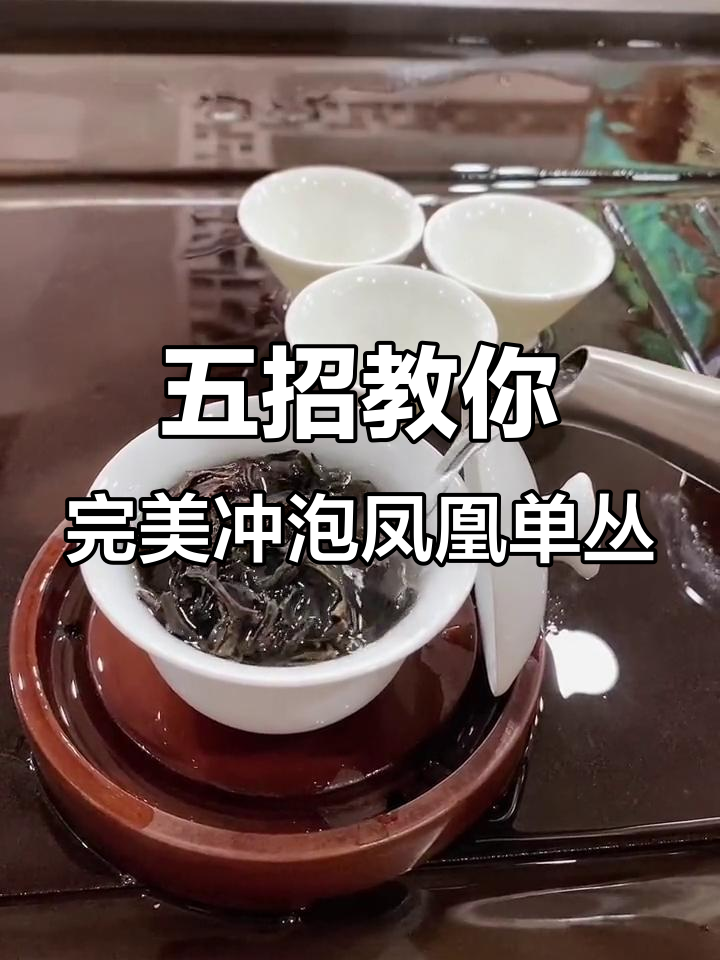 凤凰单丛茶冲泡技巧全解析,轻松掌握五步法