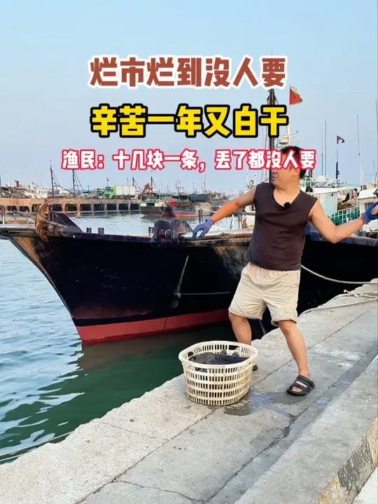 十几块钱一条的龙胆石斑鱼都没人要,今年真的太难了……海鲜原产地 石斑鱼 海鲜水产