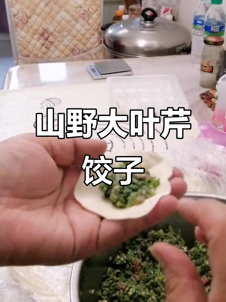 尝过大叶芹饺子吗?山野菜风味十足,教你做私房手工水饺