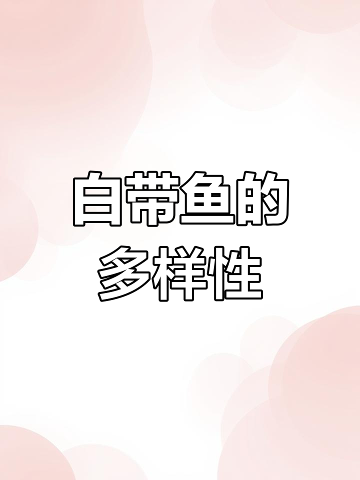 常见白带鱼种类:白边、南海等,各有特色