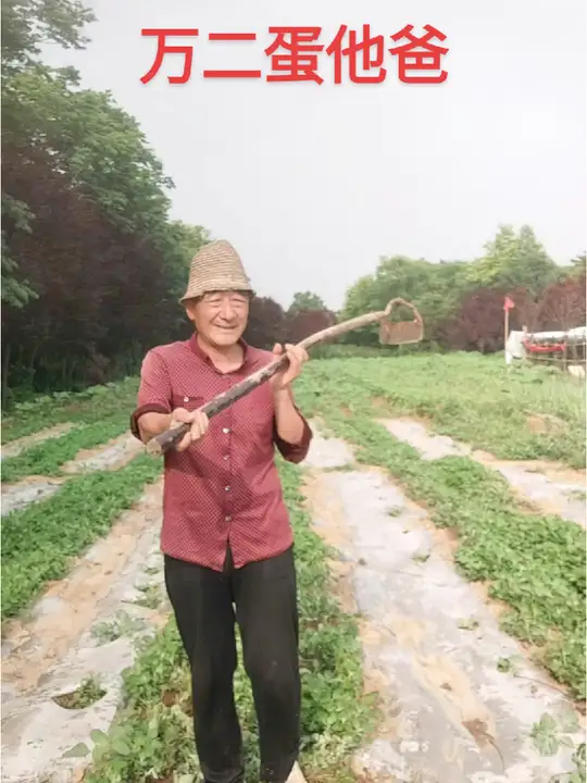田间地头忙里偷闲抖一抖,天然无公害果蔬等你来赏