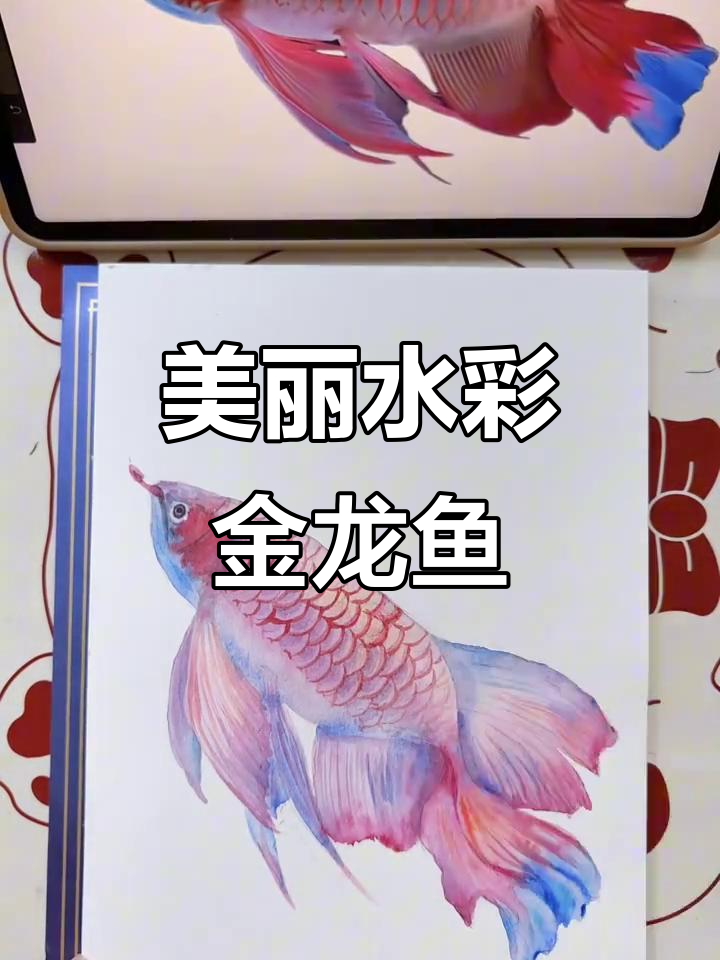 水彩金龙鱼,色彩斑斓惊艳视觉