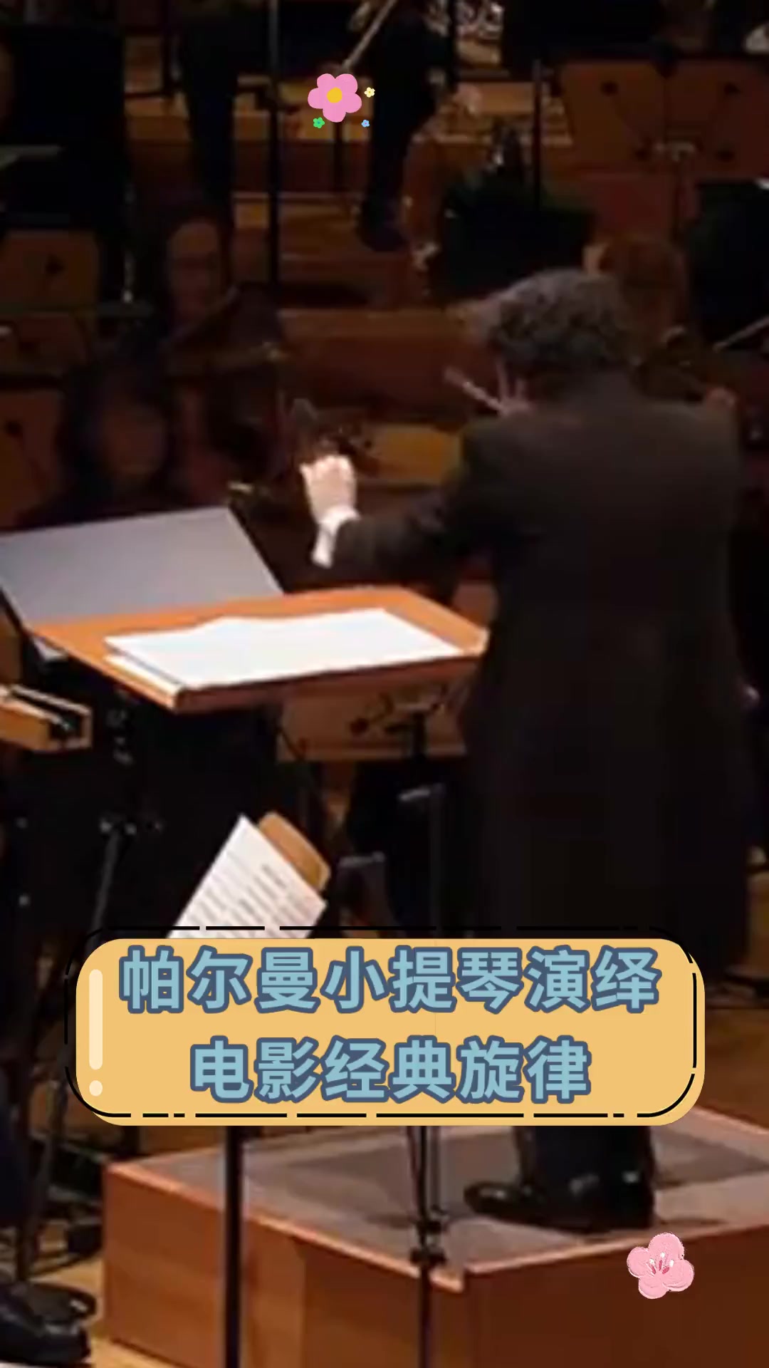 帕尔曼小提琴演绎 电影经典旋律