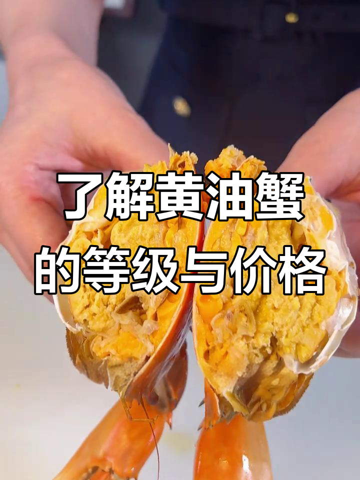 黄油蟹等级揭秘:从入门到豪华,价格差异大解析